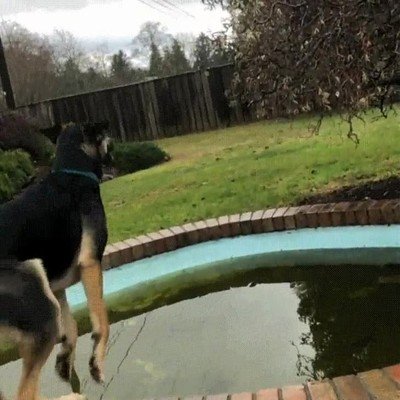 salto,agil,terminar,fail