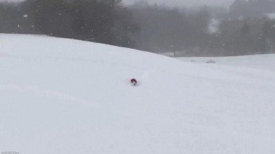 Enlace a Vamos, ya estamos a mitad de semana