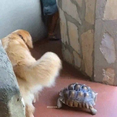 Enlace a No te preocuopes, voy a esperarte