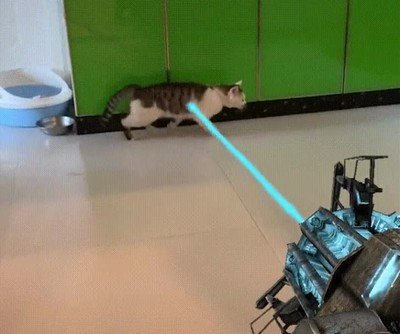 arreglar,servidores,lag,gato