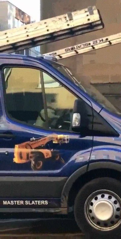 coche,perro,arrancar