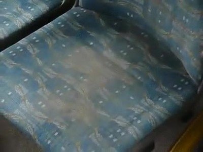 asiento,autobus