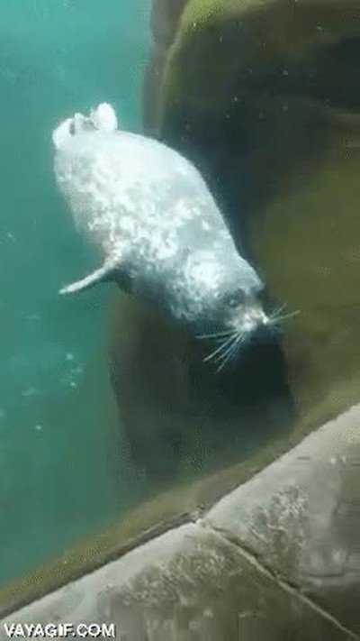 despertar,media noche,ba&ntilde;o,ojos cerrados