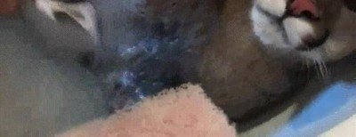 prueba,hora,baño,mejor