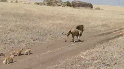 padre del a&ntilde;o,nominaci&oacute;n,leon