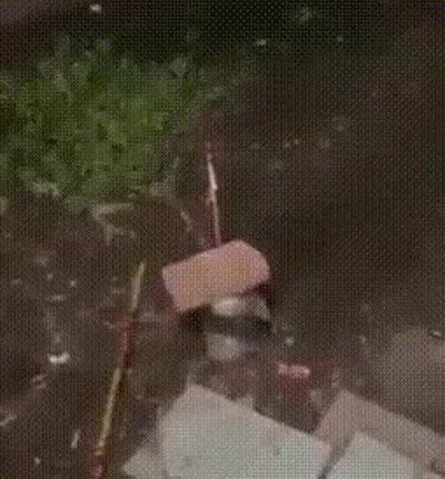 Enlace a Cuando tiras un petardo tienes que contemplar todas las posibilidades