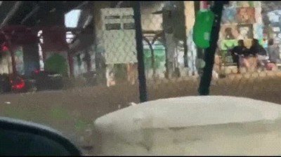 Enlace a Cuando pierdes una apuesta y tienes que bajar desnudo al parque