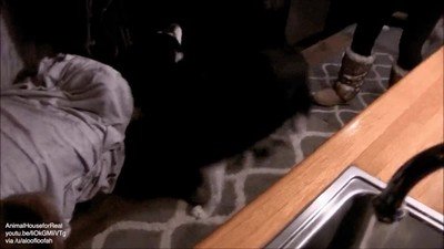 ritual,vueltas,desayuno