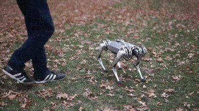 Enlace a Van rebelarse contra nosotros y sinceramente lo merecemos