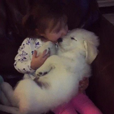 escena,adorable,cachorro,ni&ntilde;a