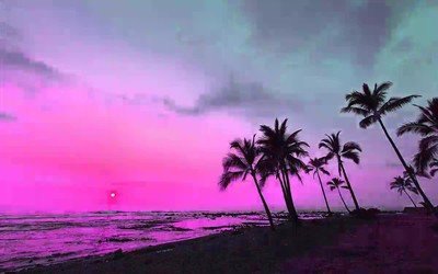 vacaciones,copa,desconocido