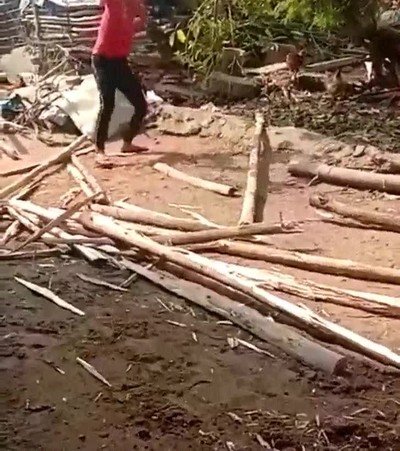 Enlace a Cuando cortas madera lo más importante es elegir un buen sitio para hacerlo 