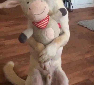 por fin,regalo,ganas