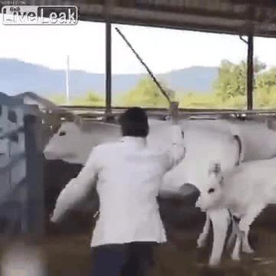 Enlace a La prueba de que el karma existe