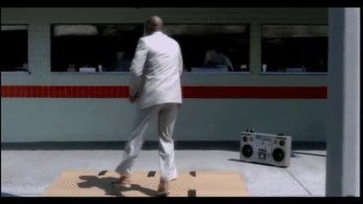 reaccion,perro,plato,comida