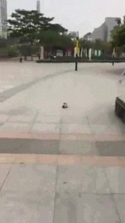 truco,chaval,impresionar