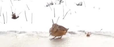 cocina,noche,legos,suelo