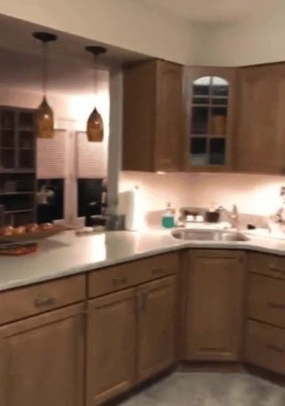 gato,llegar,casa,cocina