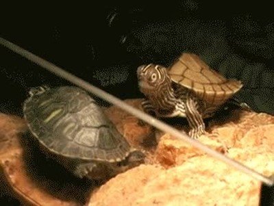 Enlace a Mi cara cuando mi pareja empieza a quitarse la ropa 