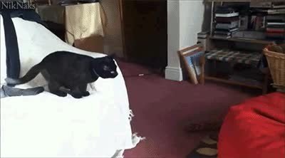 cansado,casa,viernes