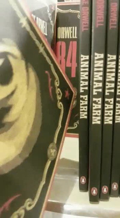 gran hermano,libro,vigilar