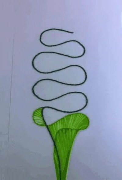 arte,utilizar,cuerda