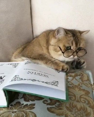 Enlace a Todos nosotros durante la noche anterior a un examen