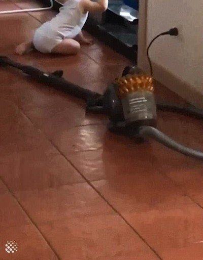 principio,amistad,perro,ni&ntilde;o