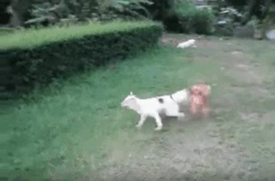 Enlace a Cuando no tienes la edad suficiente para entrar en la discoteca