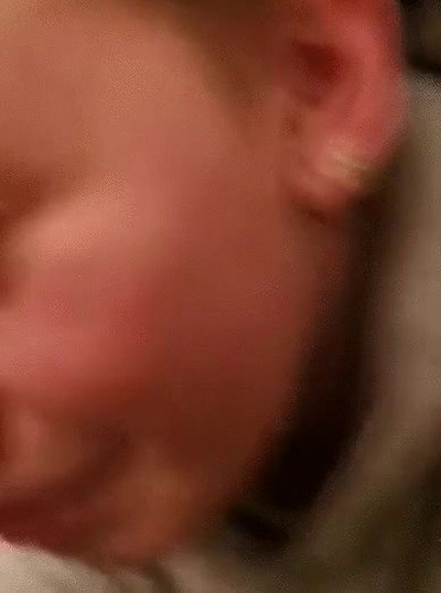 gato,perdido,ni&ntilde;o