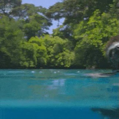 pinta,verano,piscina