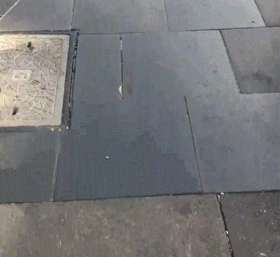 perro,adorable,calle