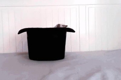 perfecto,plan,escape