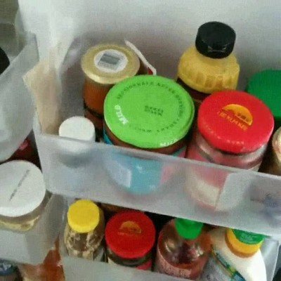 nevera,esperar,perros