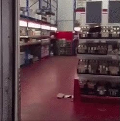 dia,cualquiera,trabajo