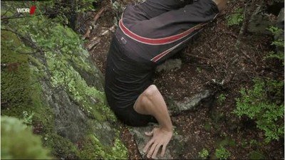 Enlace a Los aficionados del F.C Barcelona en estos momentos