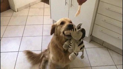 Enlace a Quien algo quiere algo le cuesta