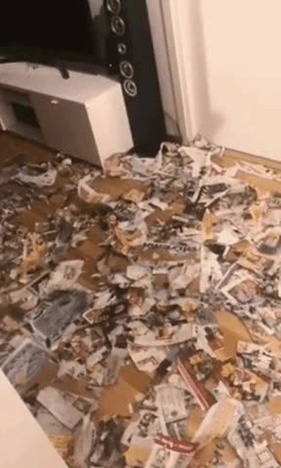 cartero,perro,cartas