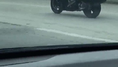 perro,moto,carretera