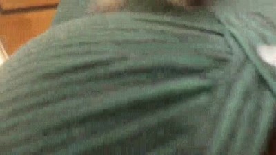 lugar,seguro,ardilla