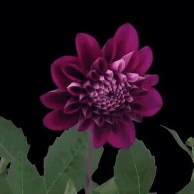 salir,relaci&oacute;n,toxica