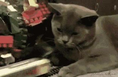 Cuando te regalan la maqueta de un tren para tu cumple pero te hace 0 lusión maqueta,regalo,tren,gato,ilusion