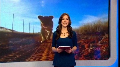 Presentadoras de la tele que son comidas por un león en directo presentadora,tele,leon