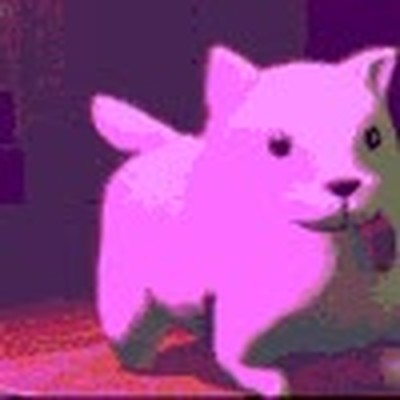 concentrar,perro,baile