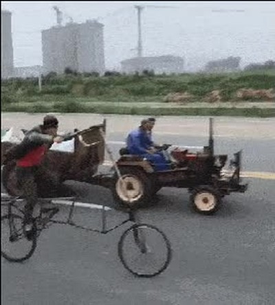 apostar,carrera,velocidad