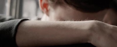 reaccion,perro,comida,casa