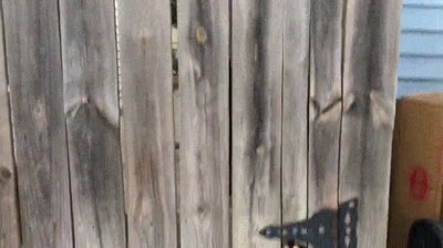 cuidado,perro,peligroso