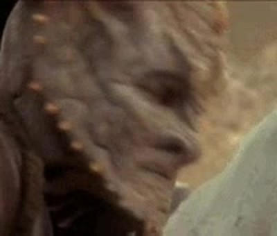 pedir,salir,chica,gustar