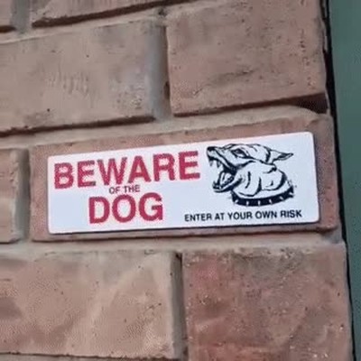 Enlace a Cuidado con el perro, mola mucho más que tu 