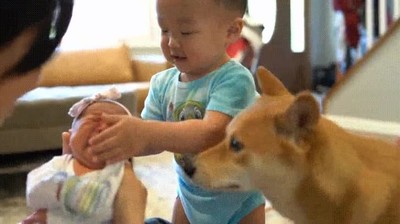 Enlace a Conociendo al nuevo miembro de la familia 